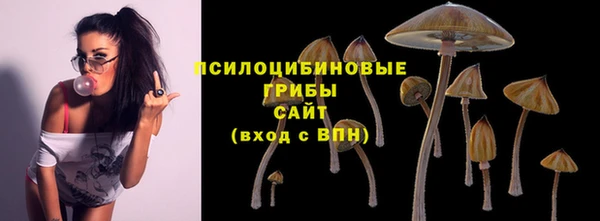 гидропоника Верхний Тагил