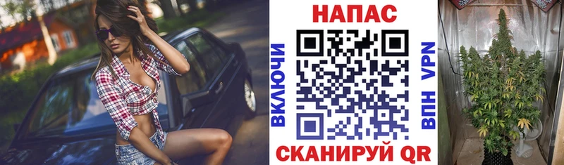 наркотики Игра Шишки марихуана VHQ